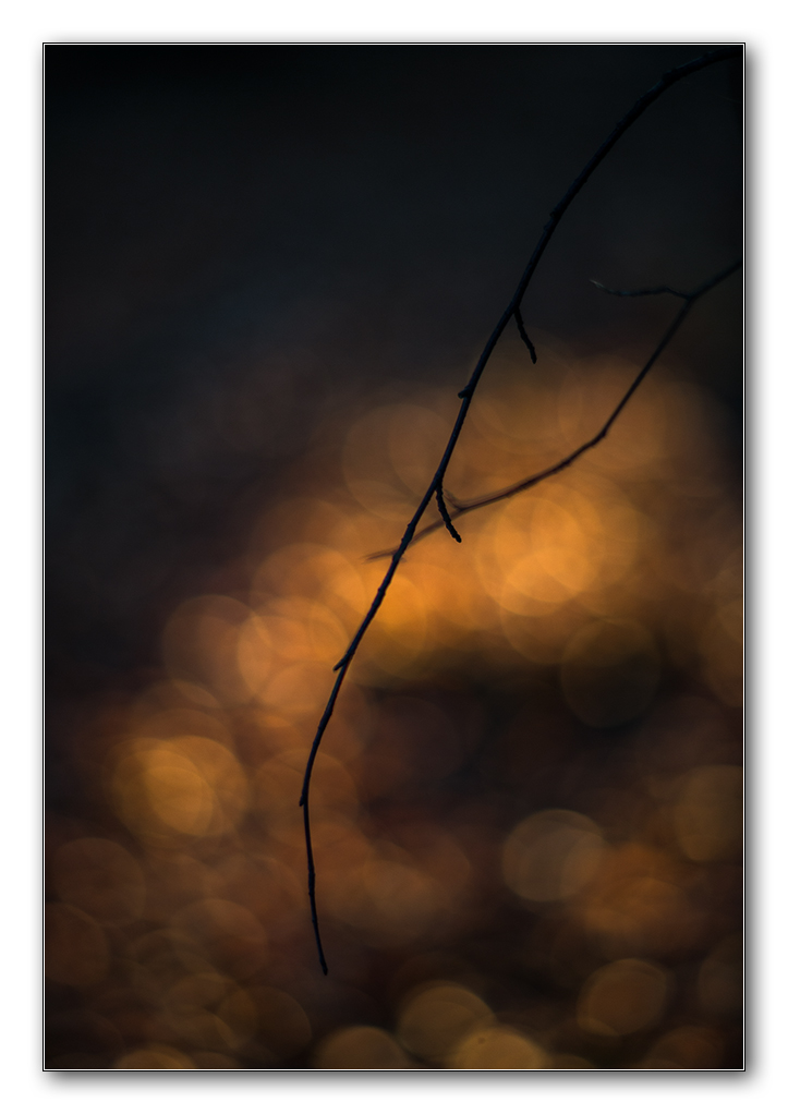 restlicht2