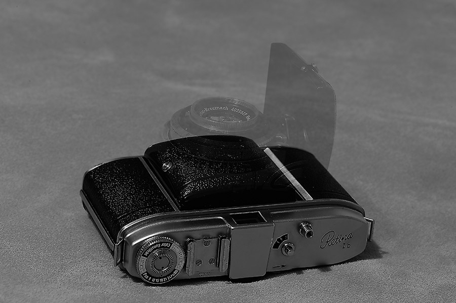 Retina Ib (018)