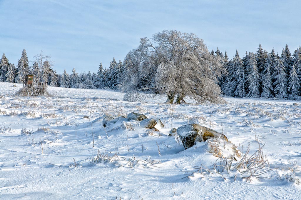 Rhön Winter 2015 TonalContrast