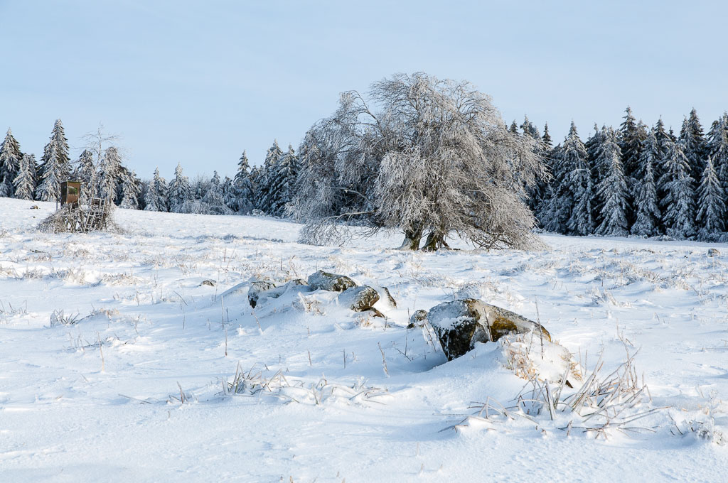 Rhön Winter 2015