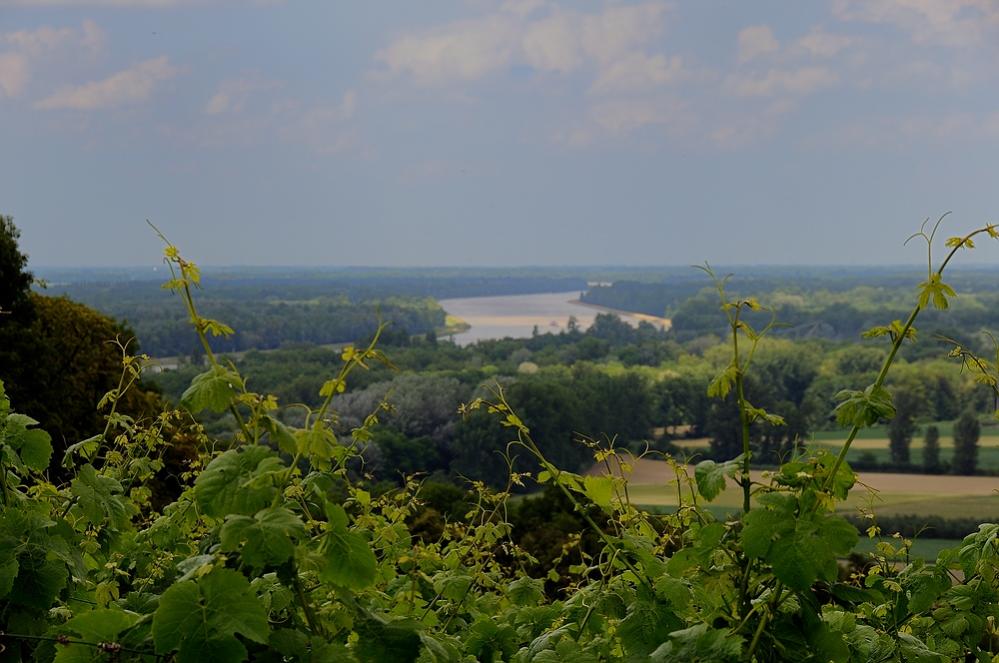 RHEIN