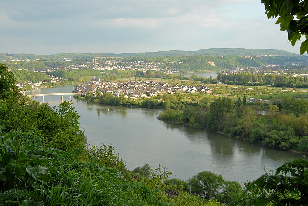 Rhein02