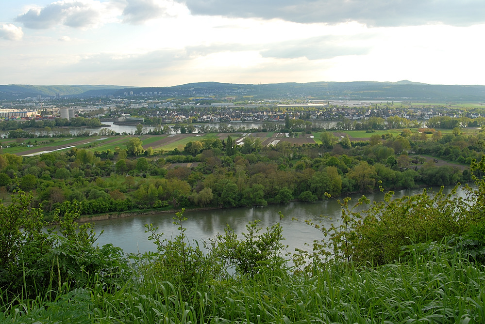 Rhein03