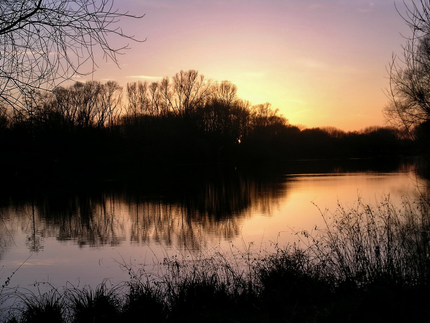 Rhein4a
