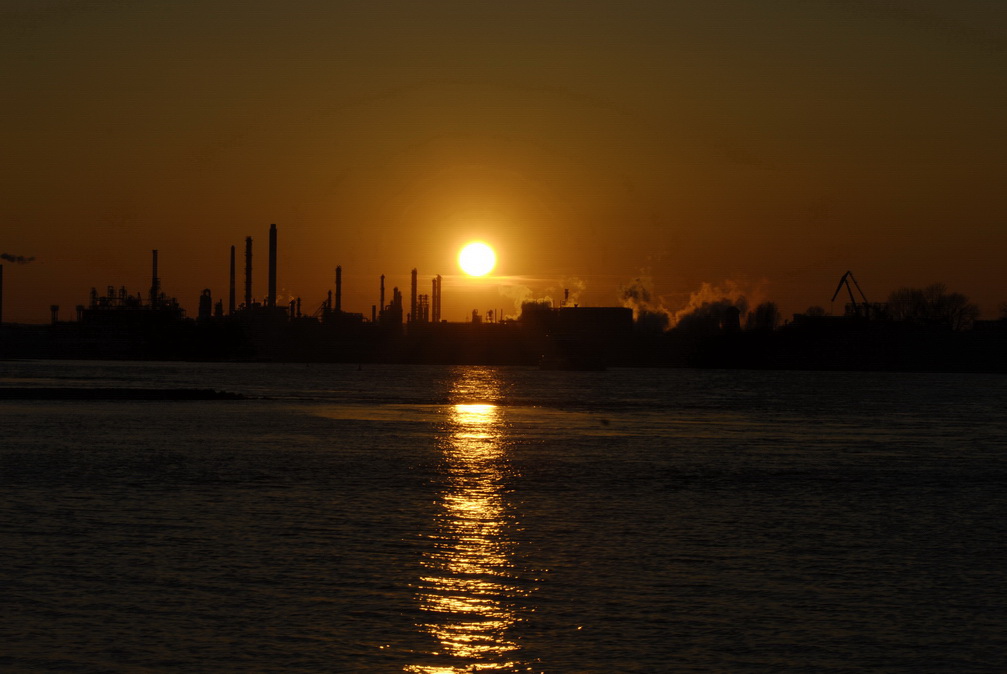 Rhein5a