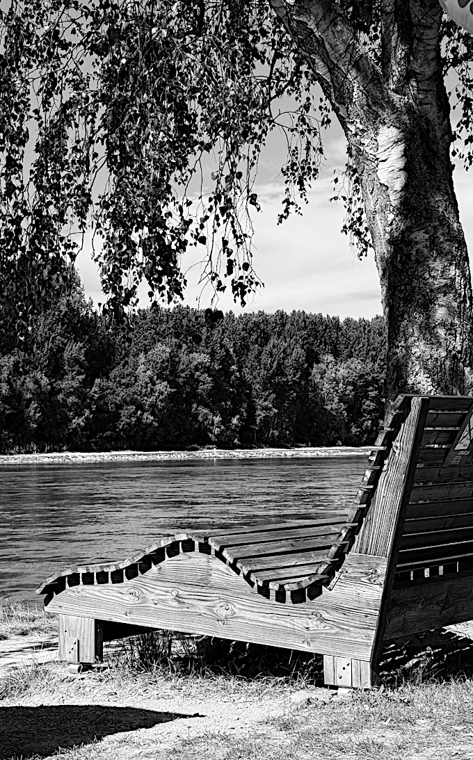 Rheinblick-NF.jpg
