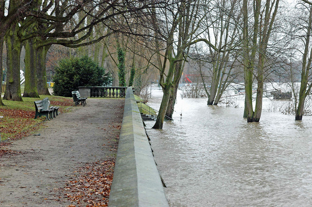 Rheinhochwasser 2010, Flkm 652, Bonn (DSC 0023x)