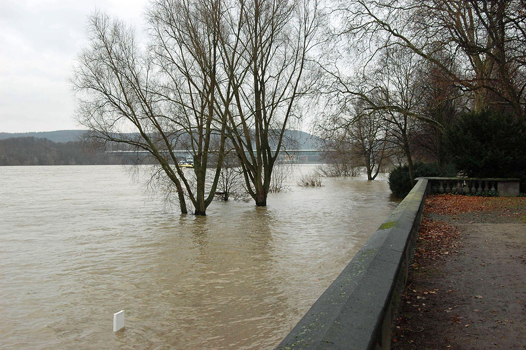 Rheinhochwasser 2010, Flkm 652, Bonn (DSC 0032x)