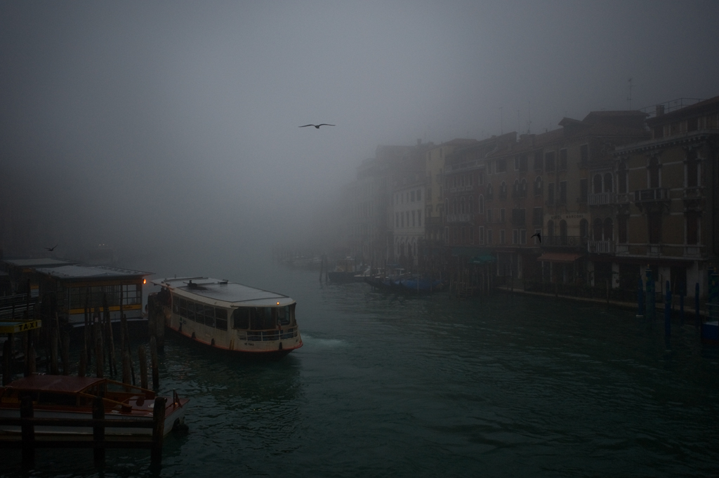 rialto20081102