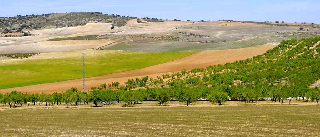 Richtung Almeria
