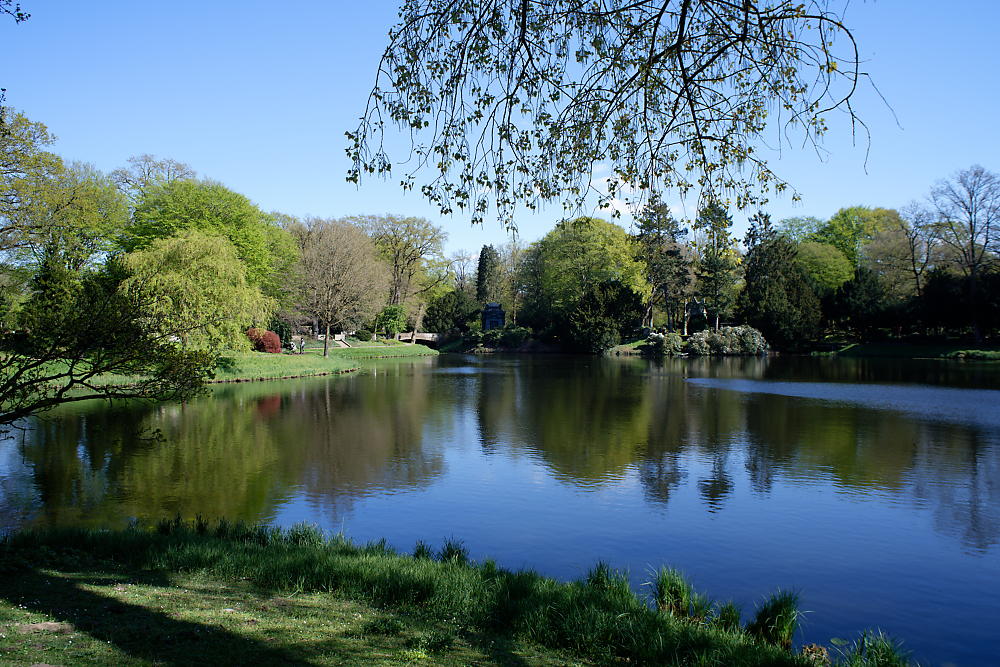 Riensberger See.jpg