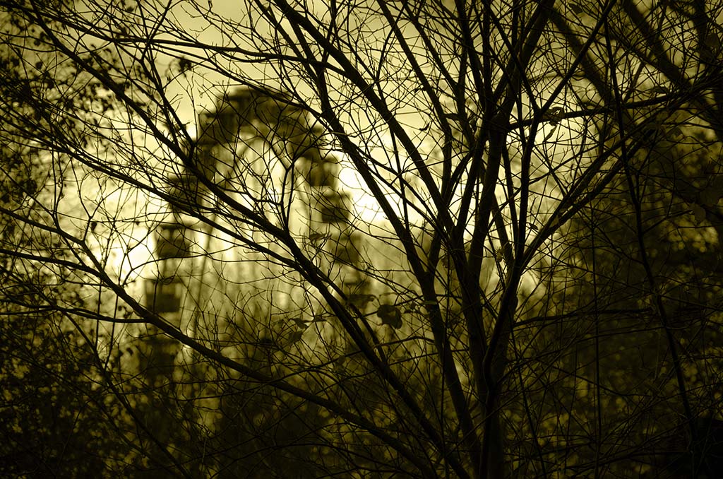 Riesenrad NF Forum