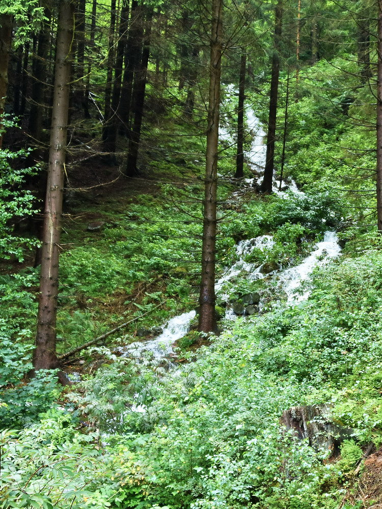 Rinnsal