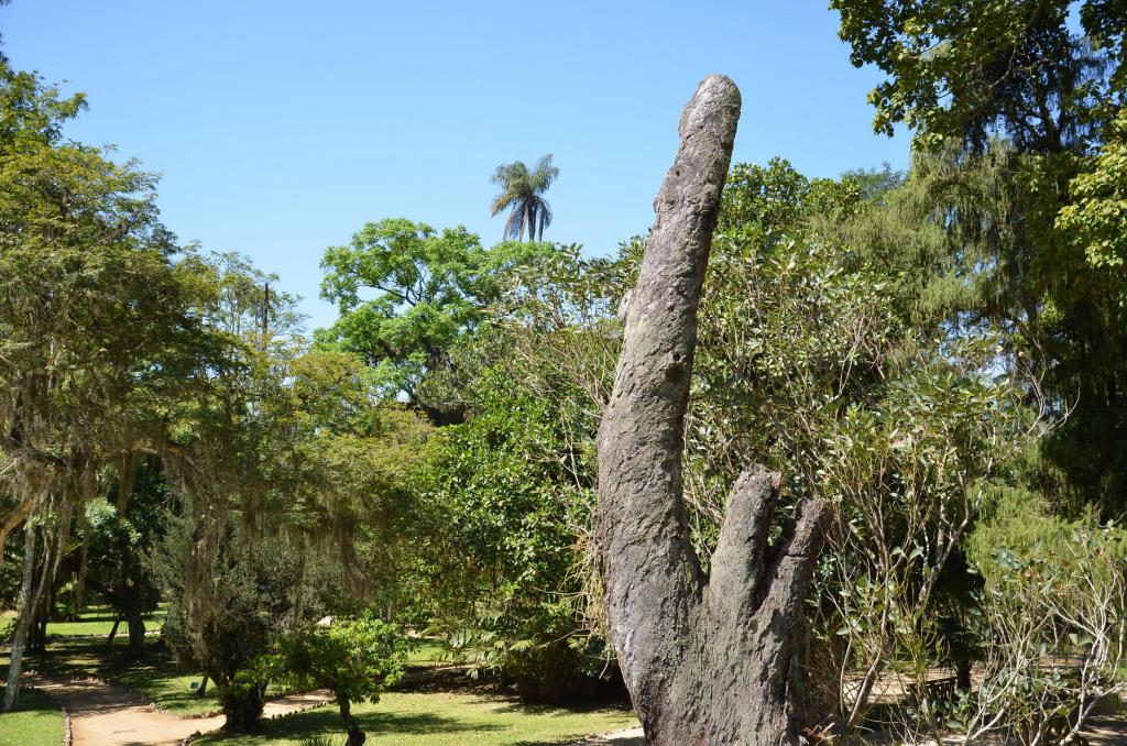 Rio de Janeiro, Jardim Botanico