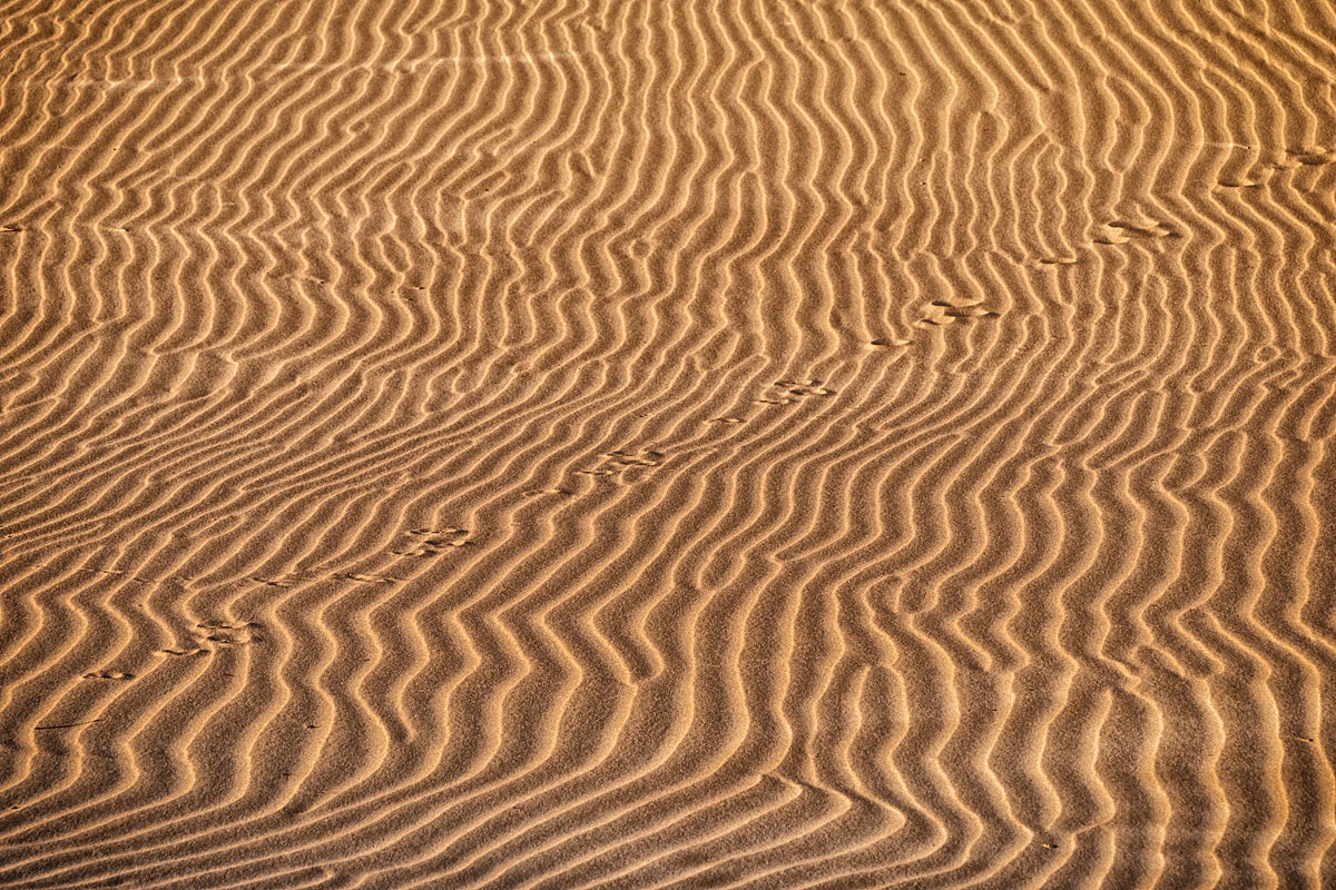 Rippelmarken Wangerooge