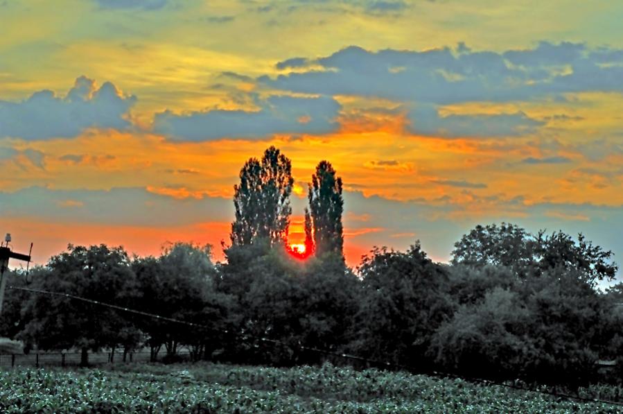 rising sun