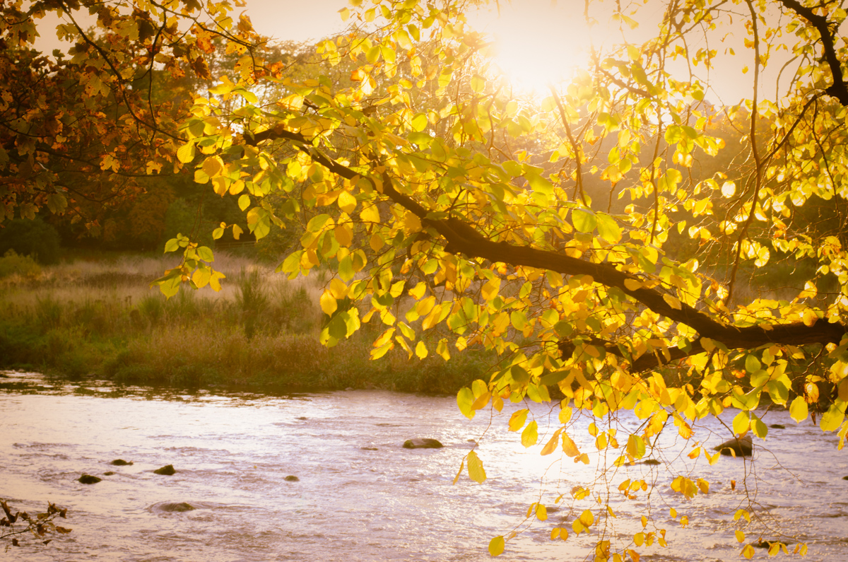River
