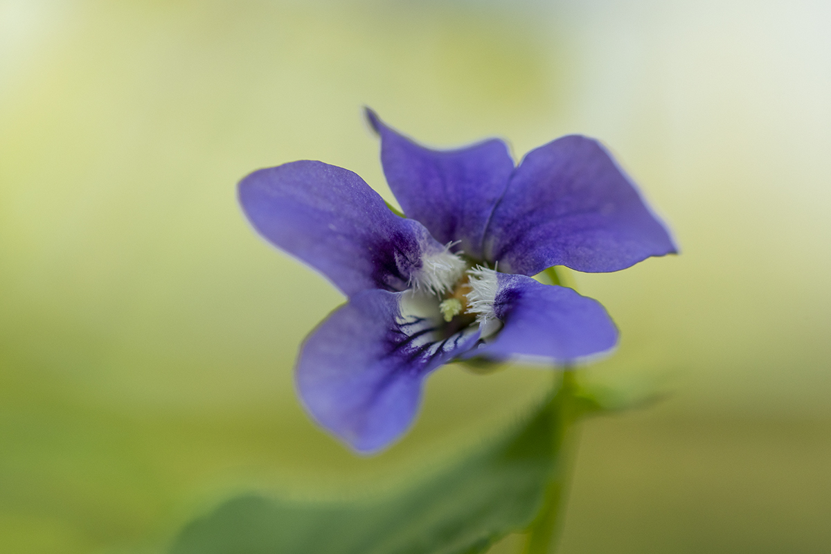 rk_20190418_505942.jpg