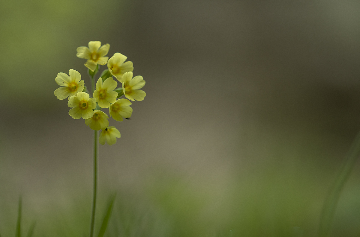 rk_20190424_505980-n.jpg