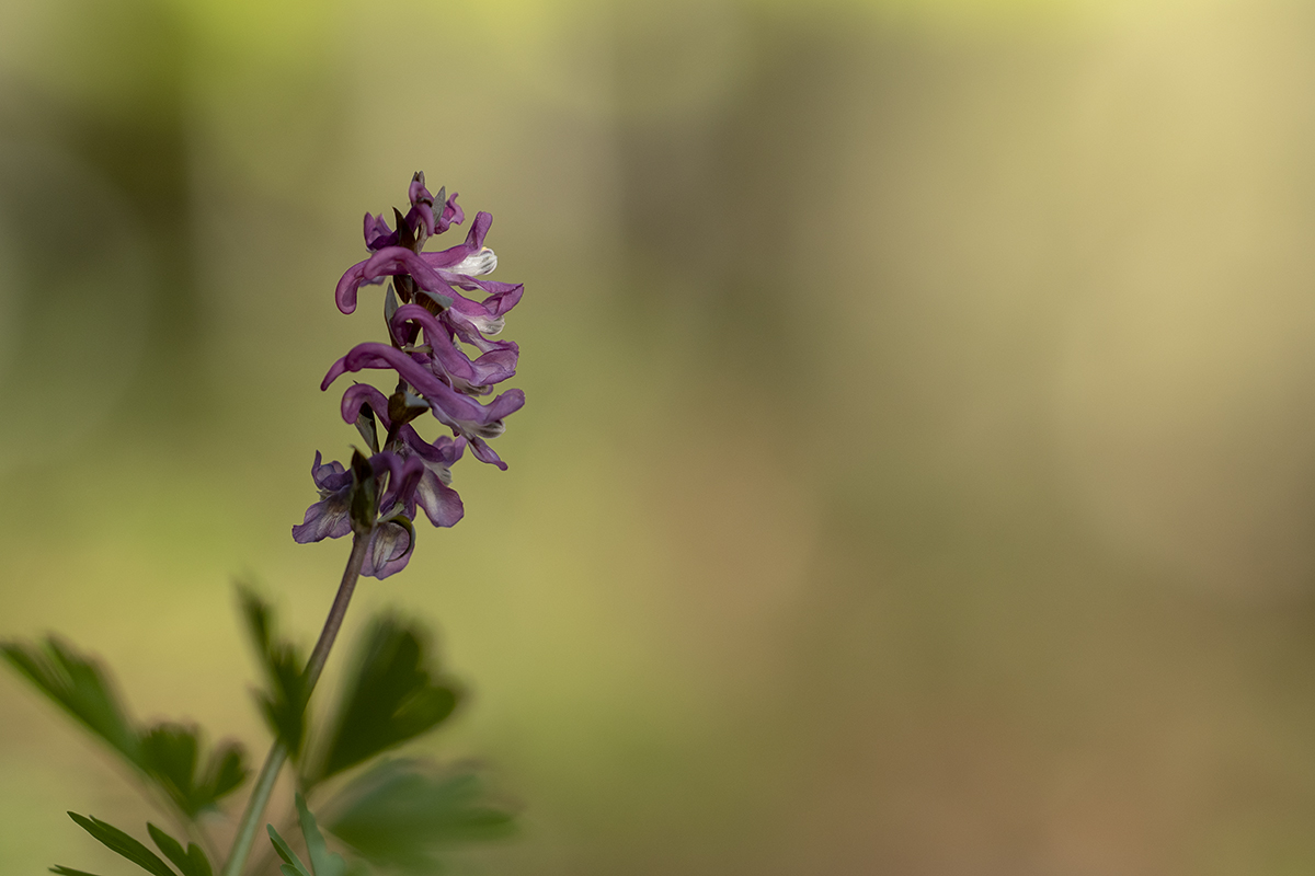 rk_20190424_506012.jpg