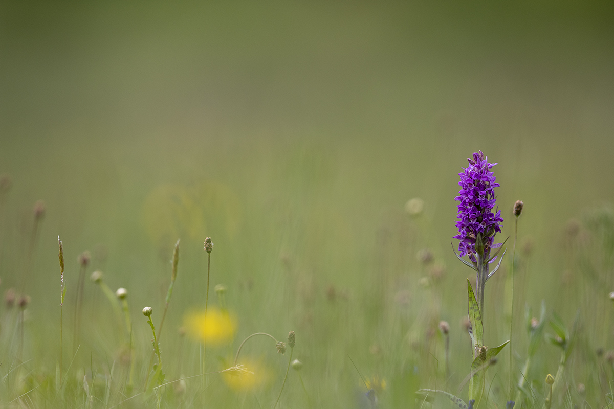 rk_20190507_506073.jpg