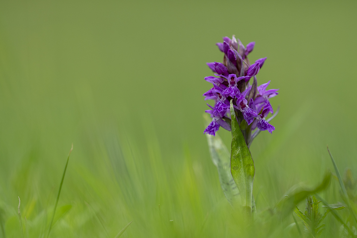 rk_20190507_506104.jpg