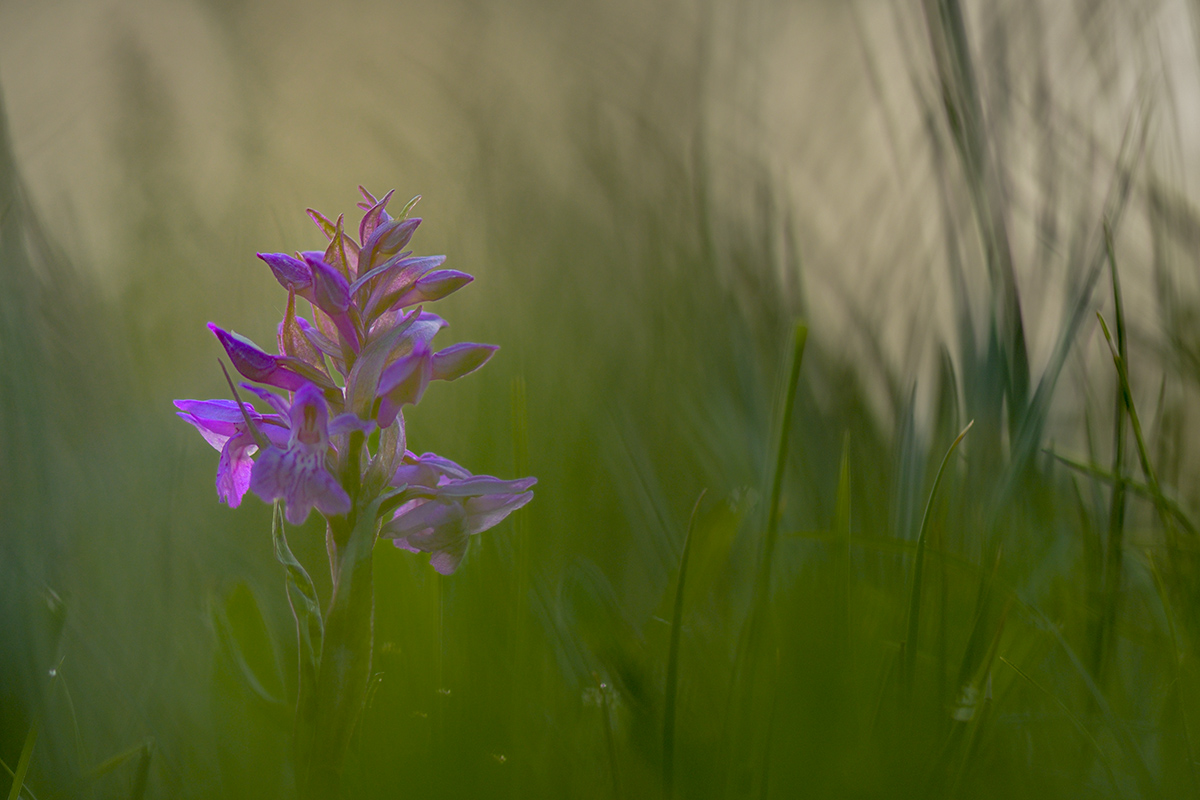 rk_20190507_506154.jpg
