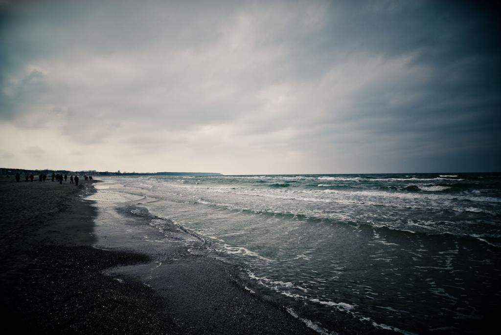 RMR9495