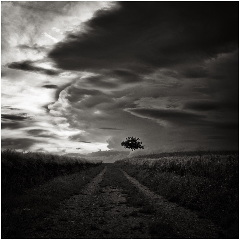 Road to nowhere