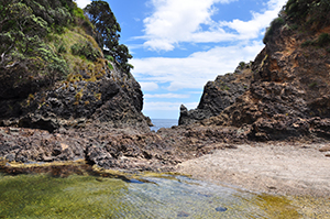 Roberton Island - Bay of Islands - North Island