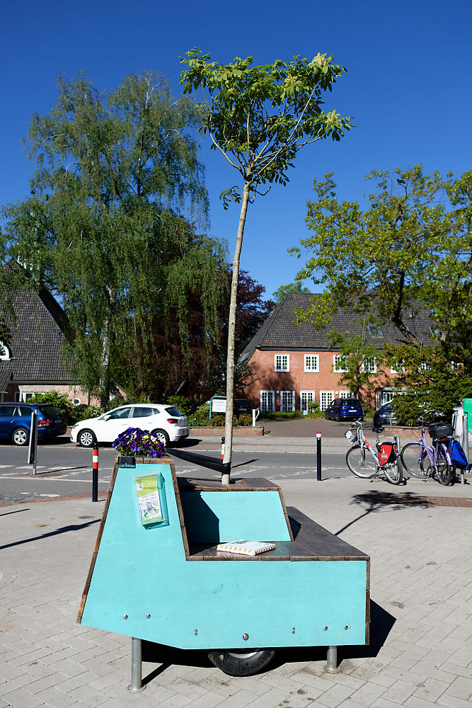 Rollbank mit Baum.jpg