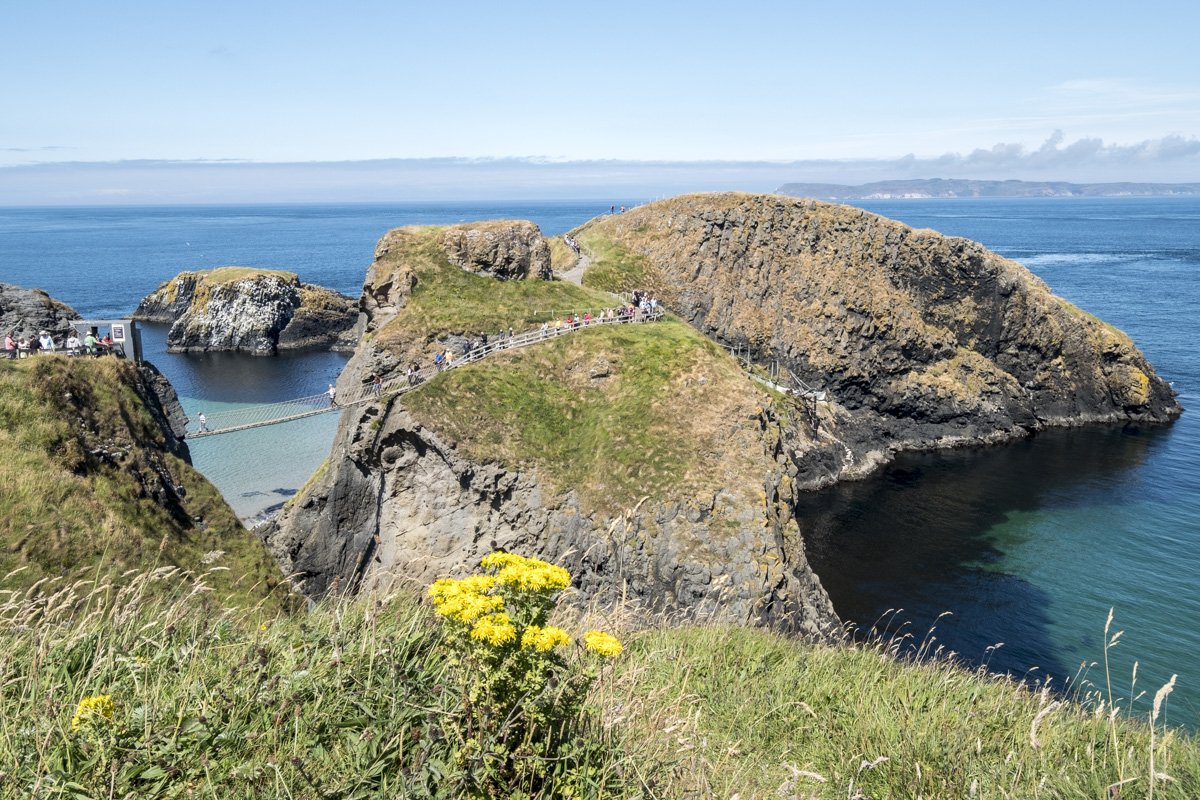 Rope bridge Carrick a Rede1