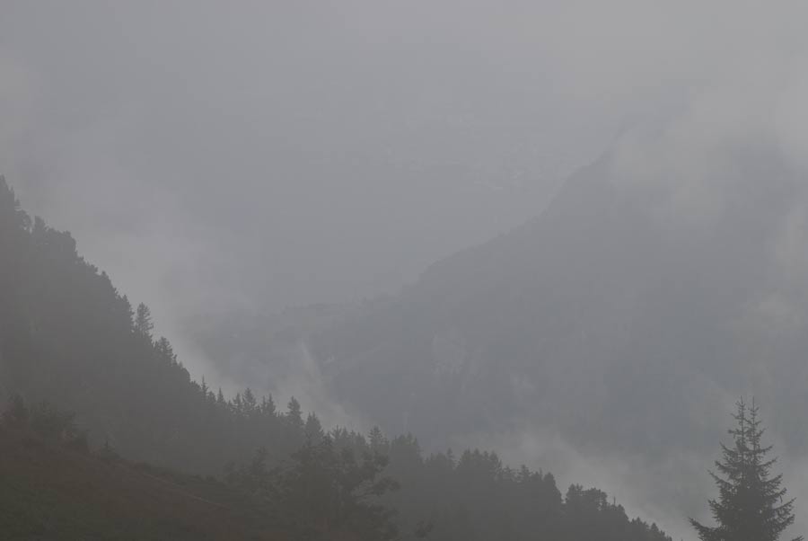 Rophaien Nebel