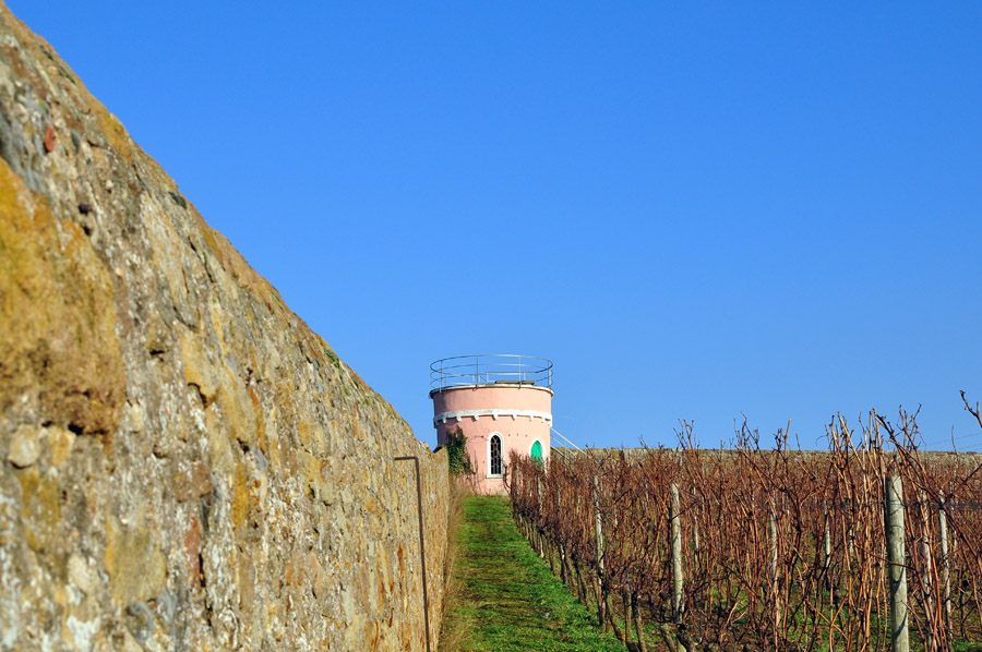 rosa Turm 1