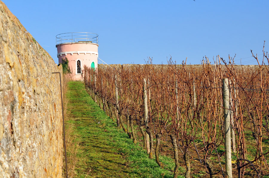 rosa Turm 2
