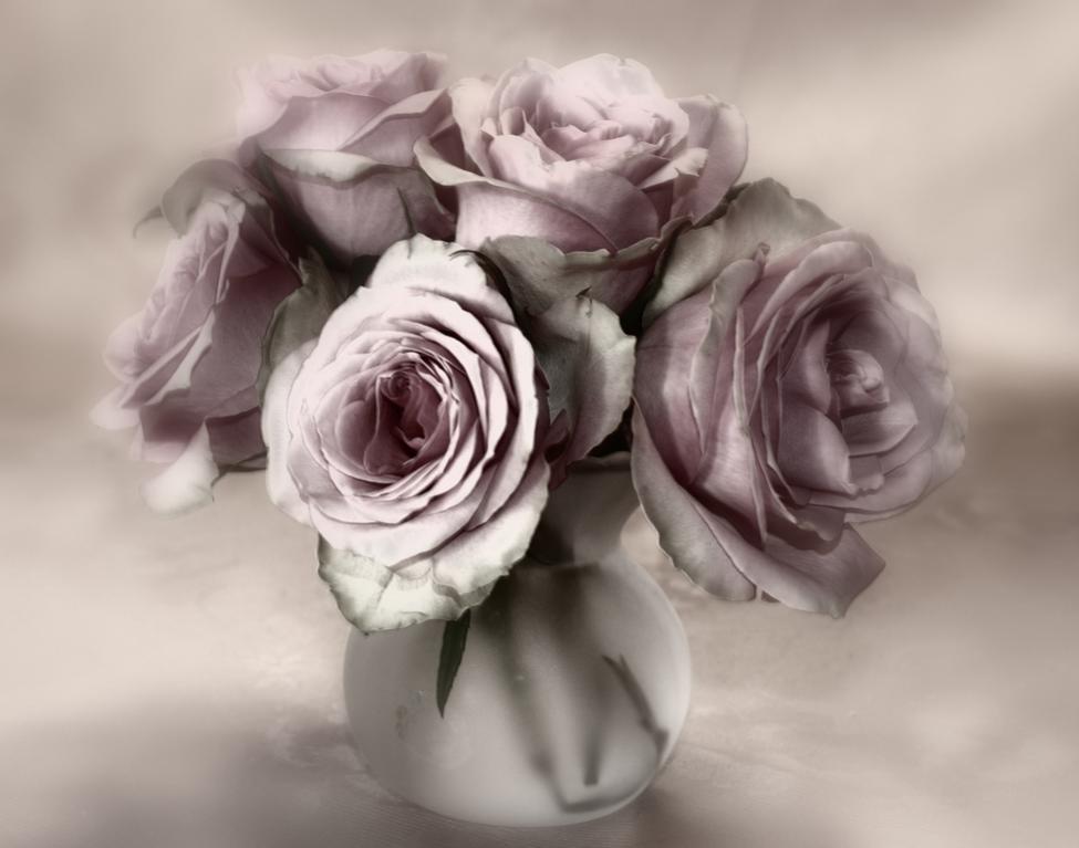 Rosen