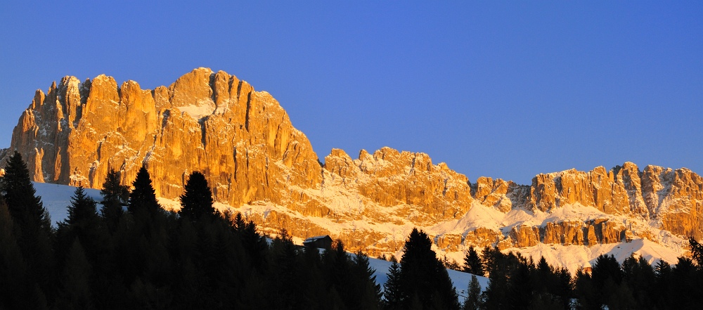 Rosengarten 2