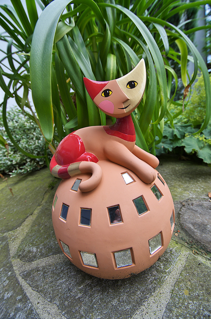 Rosina Wachtmeister Katze