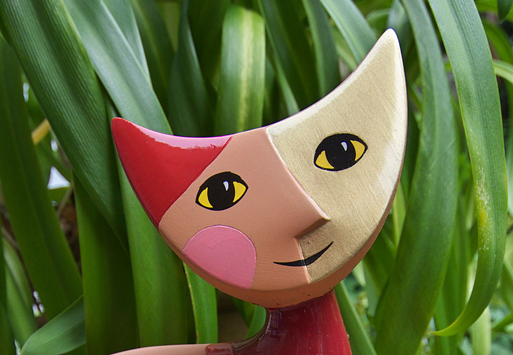 Rosina Wachtmeister Katze