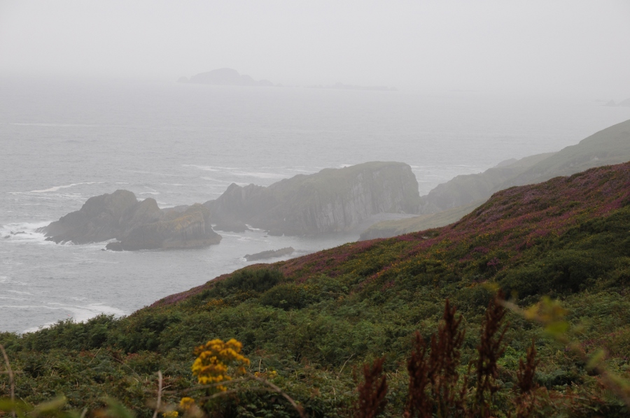 Rosscarbery/Glandore