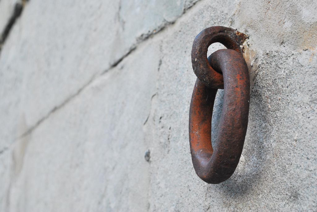 Rost