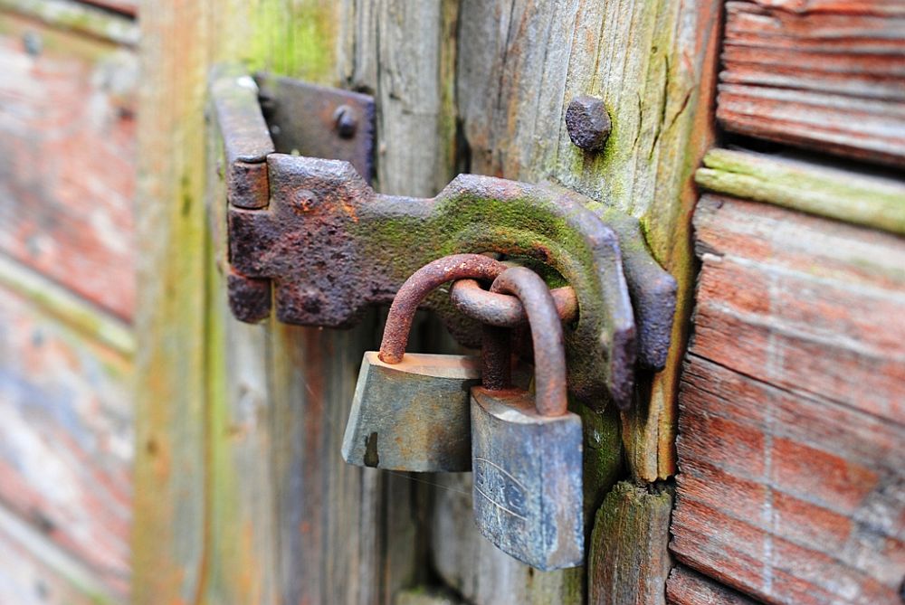 Rost