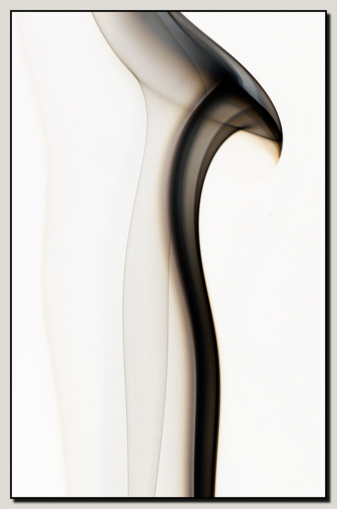 rostratus