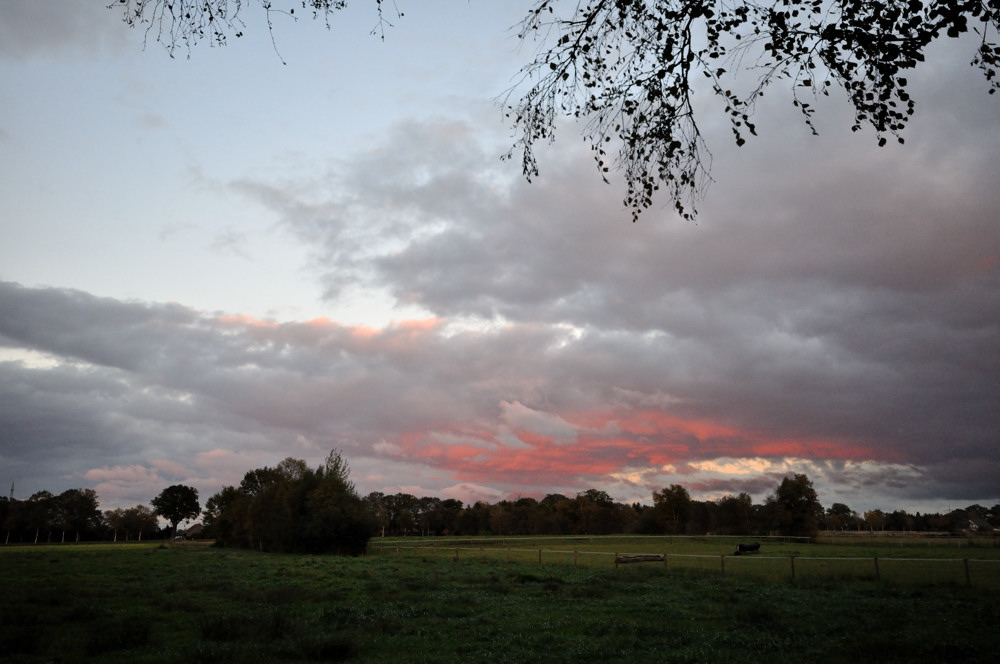 rot DSC 2491