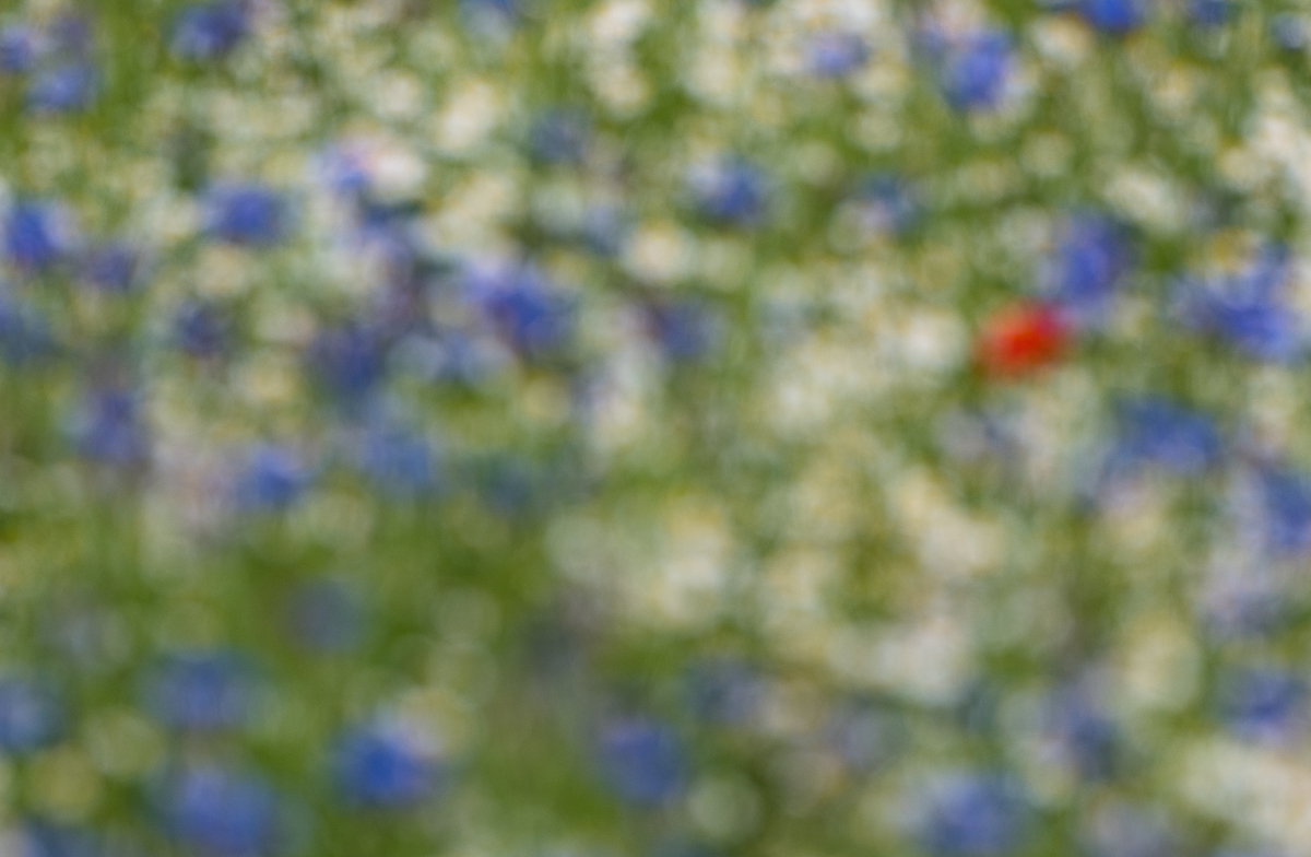 rot weiß blau 0677