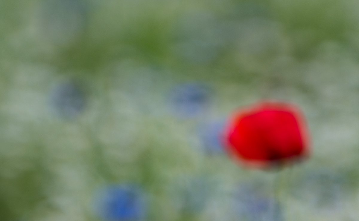 rot weiß blau 0686