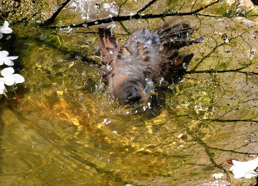 Rotationen werden verstärkt, etwas unkoordiniert