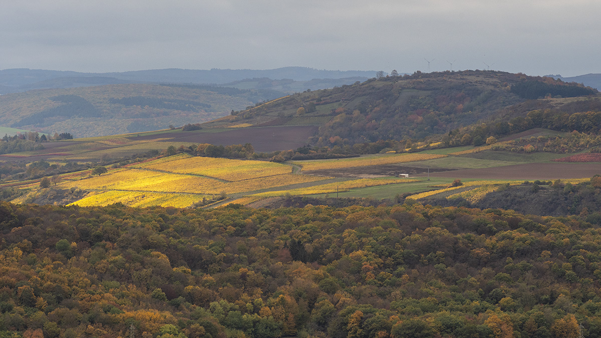 rotenfels_01.jpg