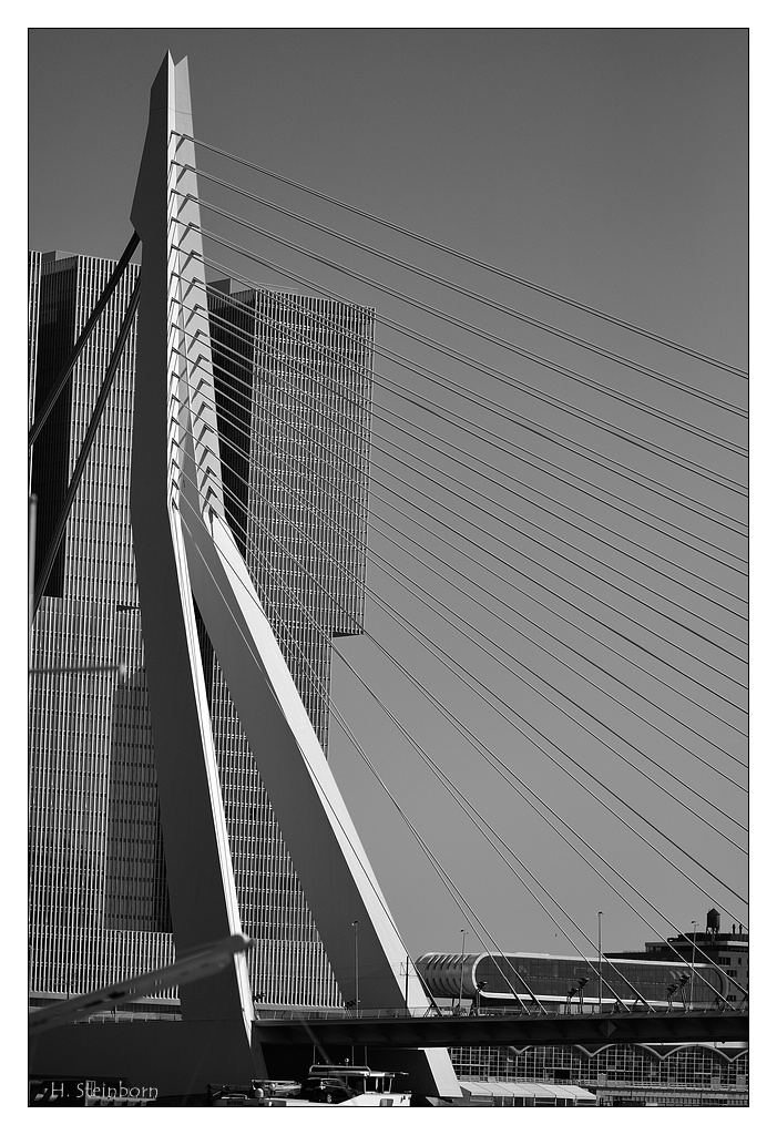Rotterdam 16