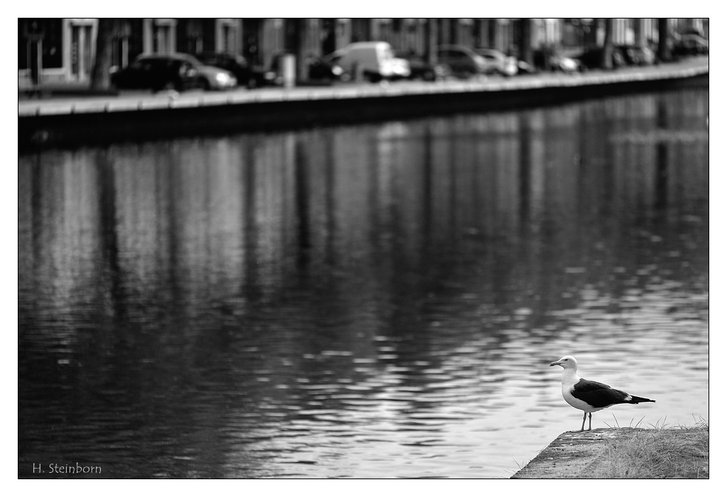 Rotterdam 20